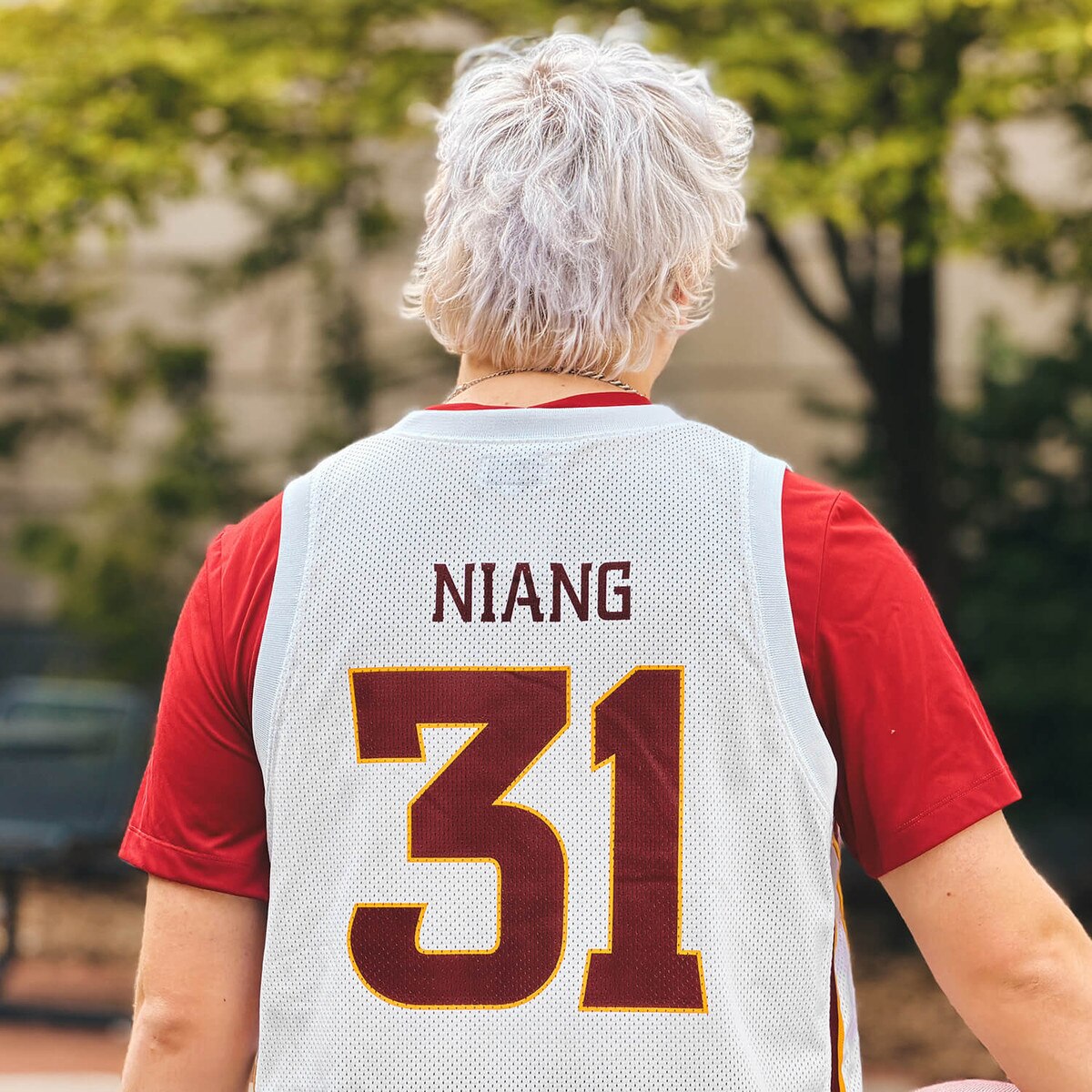 Retro Brand Iowa State Georges Niang Replica Basketball Jersey